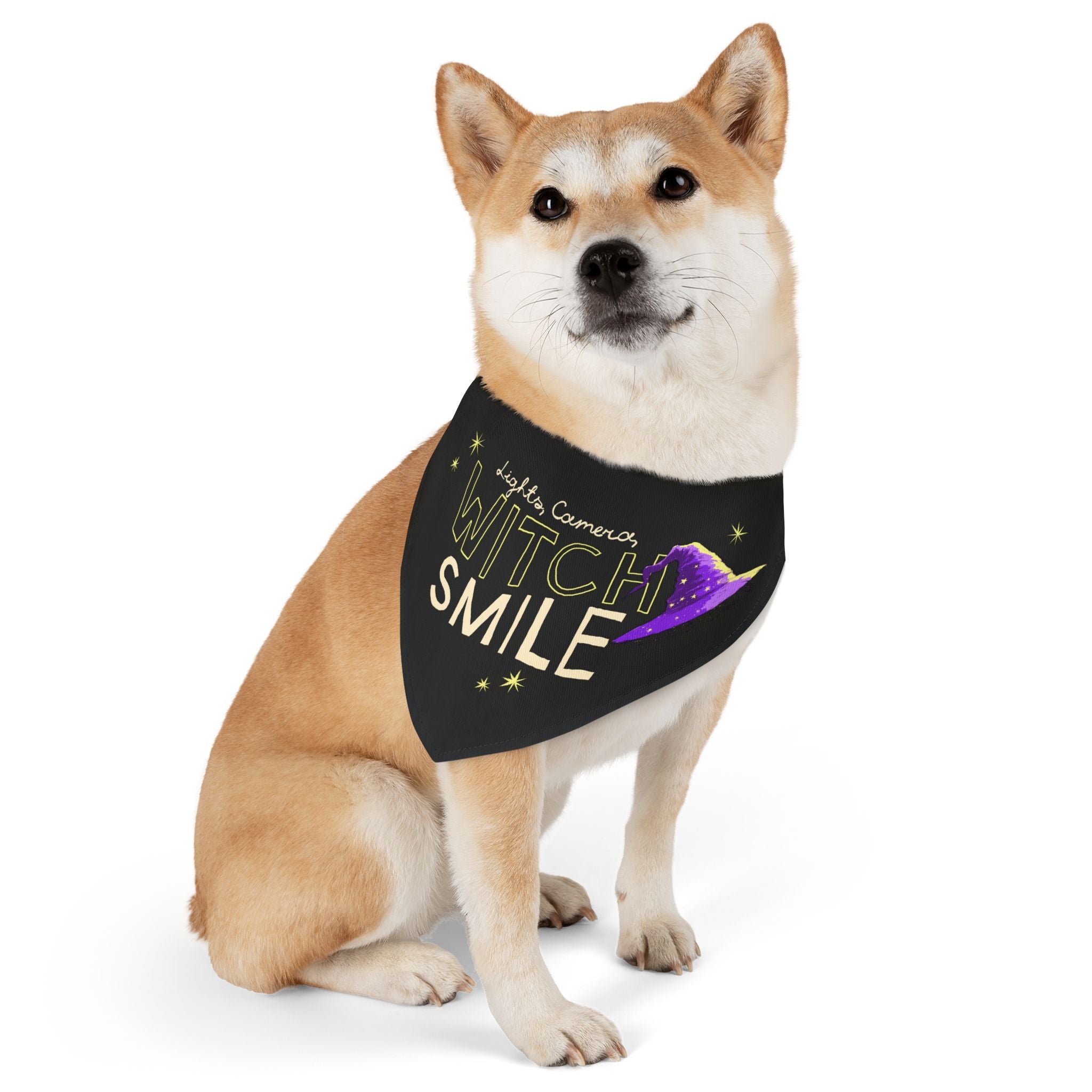 Lights, Camera, Witch Smile Pet Bandana Collar