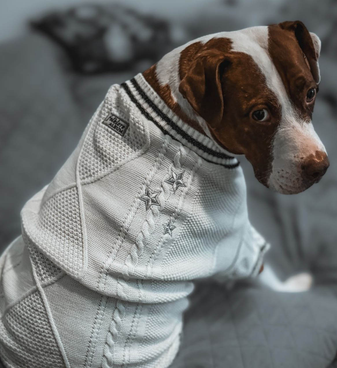 Folklore Pet Cardigan